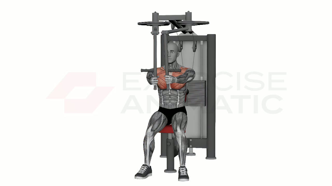 3D animation of a male performing Machine Fly with muscle highlights