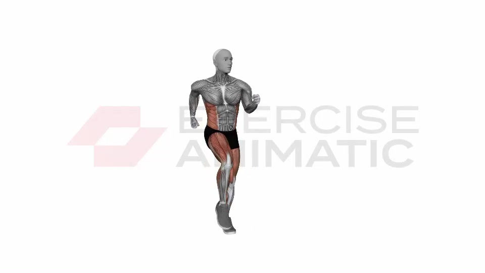 3D animation of a male jogging with muscle highlights
