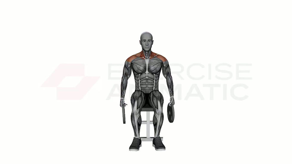 3D animation of a male performing Seated Plate Side Raises with muscle highlights