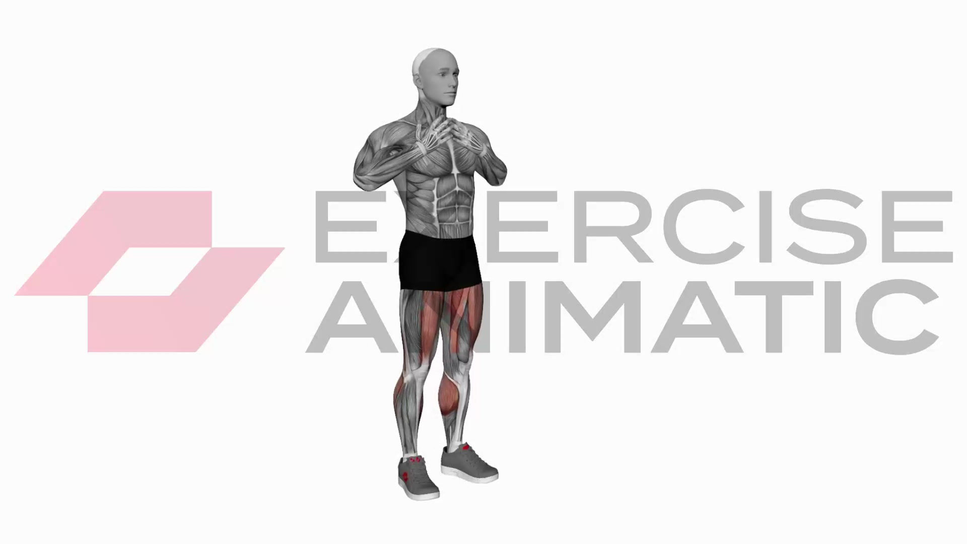 3D animation of a male performing Crossed Arms Front Leg Kick with muscle highlights