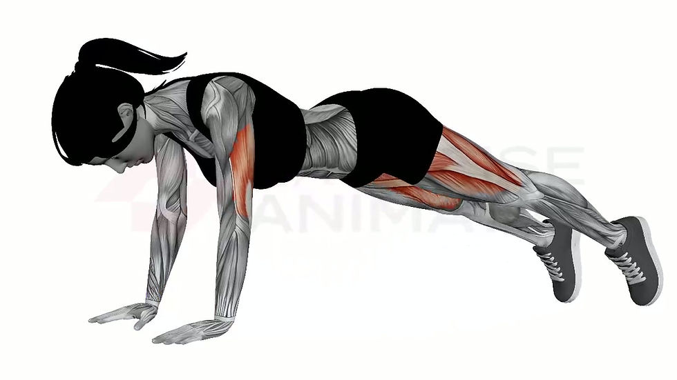 3D animation of a female performing Alternating Plank Lunge with muscle highlights