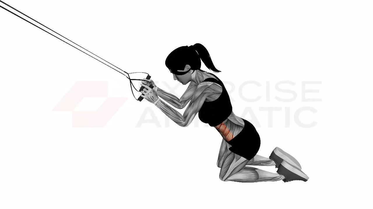 3D animation of a female performing High Resistance Band Kneeling Crunch with muscle highlights