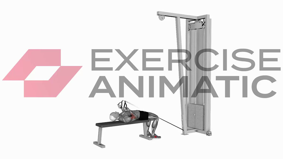 3D animation of a male performing Low resistance band lying bicep curl half rep with muscle highlights