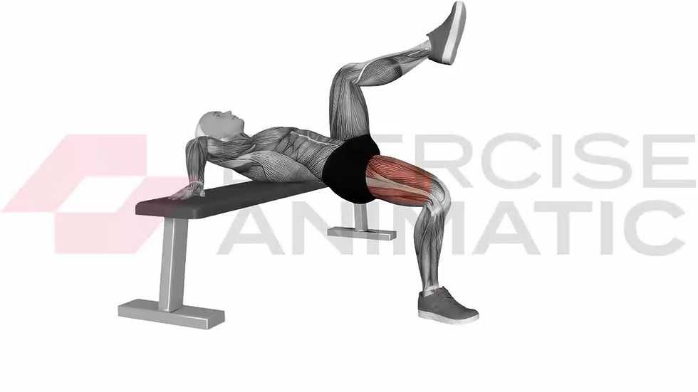 3D animation of a male performing Single Leg Hip Thrust with muscle highlights