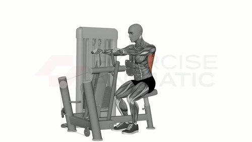 Chair Assisted Rows Seated Row Machine Rows | Exercise Animatic
