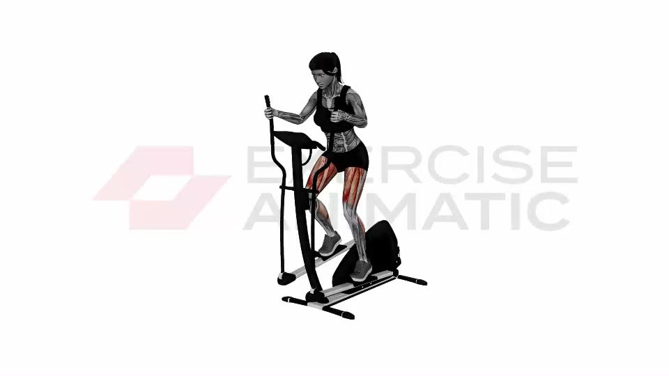3D animation of a female performing Gym Elliptical Machine Normal Speed with muscle highlights