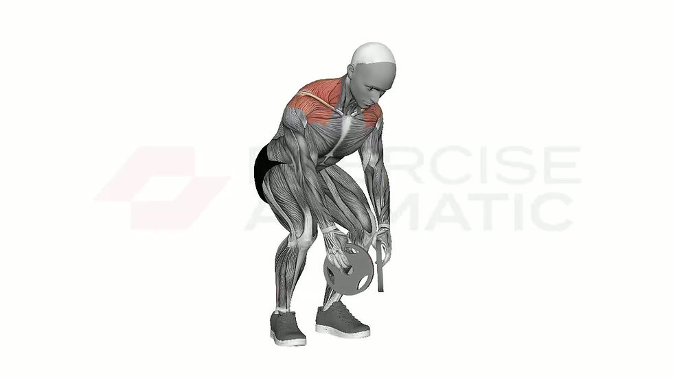 3D animation of a male performing Plate Rear Delt Fly with muscle highlights