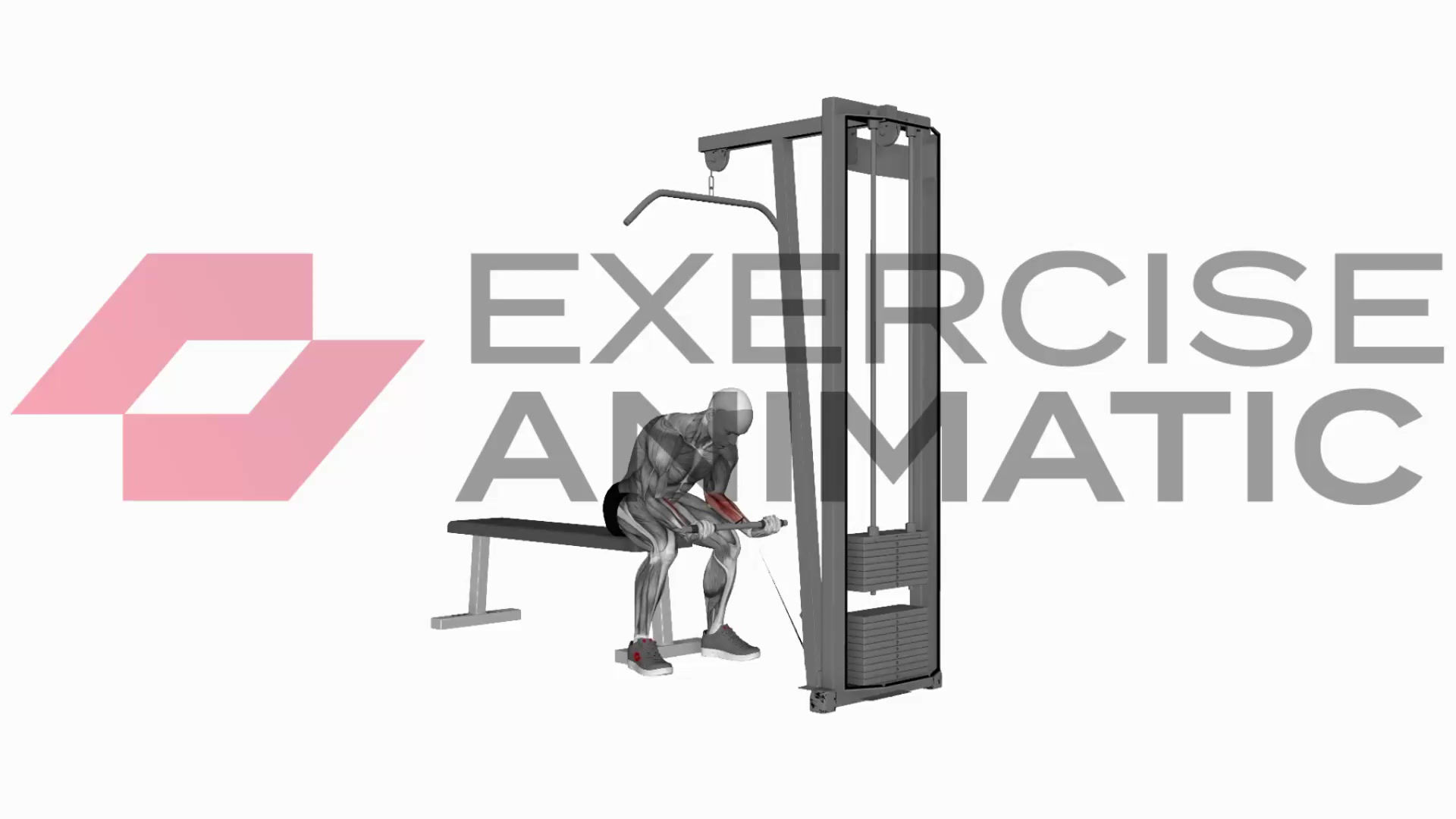 3D animation of a male performing Cable Wrist Curl with muscle highlights