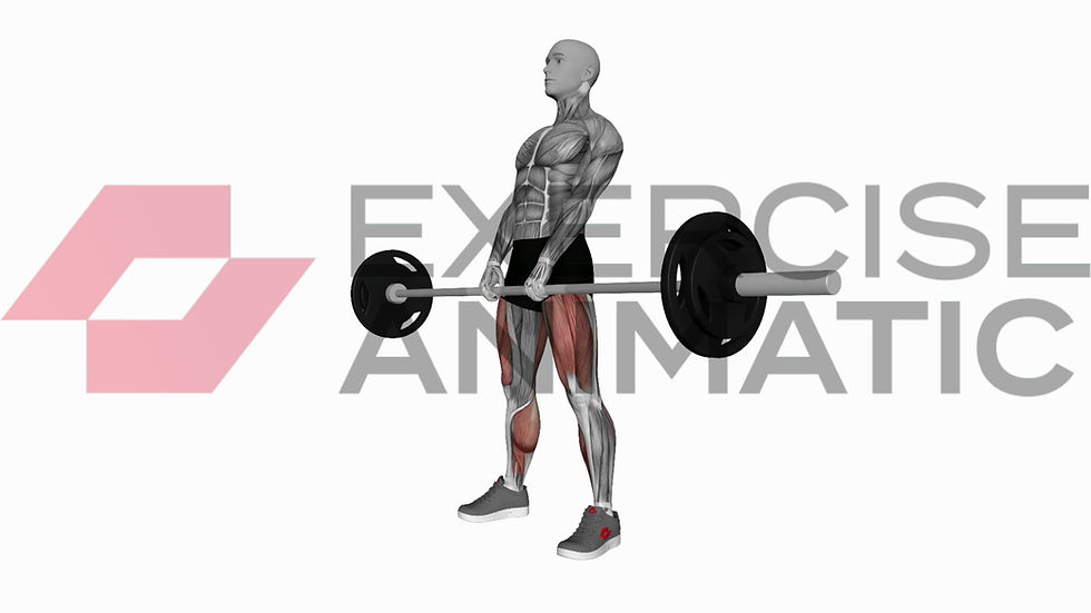 3D animation of a male performing Barbell sumo deadlift with muscle highlights
