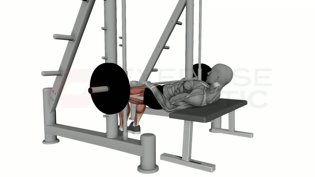 3D animation of a male performing Hip Thrust in Smith Machine with muscle highlights