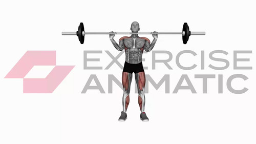 Cluster | Exercise Animatic