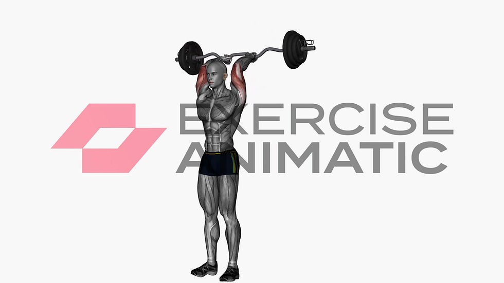 3D animation of a male performing EZ bar overhead extensions standing with muscle highlights