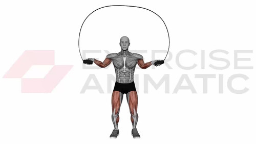 Jump Rope basic jump | Exercise Animatic