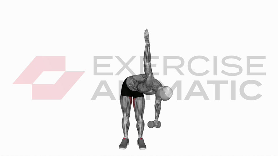 3D animation of a male performing Dumbbell Low Windmill with muscle highlights