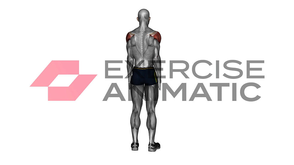 3D animation of a male performing Reaching up shoulder stretch with muscle highlights
