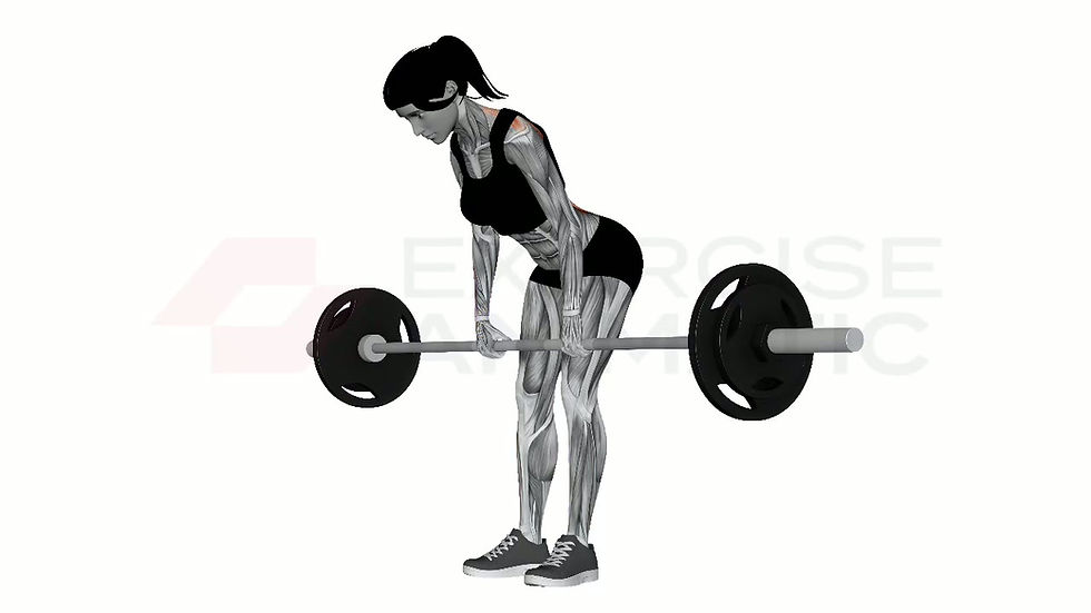 3D animation of a female performing Barbell Bent Over Row Pronate Grip with muscle highlights