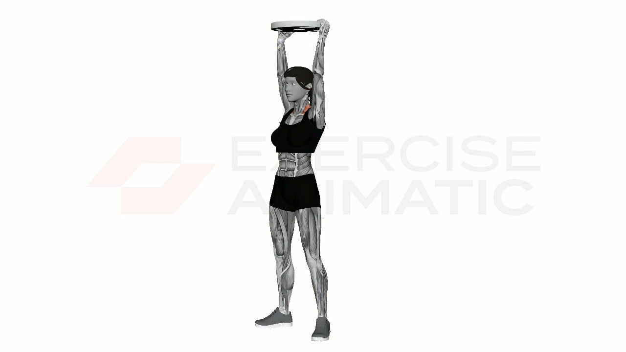 3D animation of a female performing Plate Overhead Shrug with muscle highlights