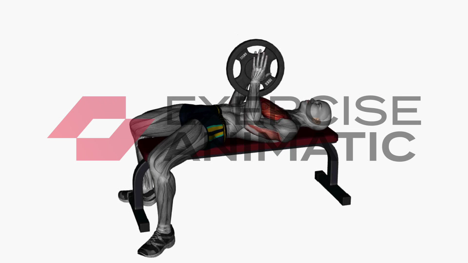3D animation of a male performing Svend press flat bench with muscle highlights
