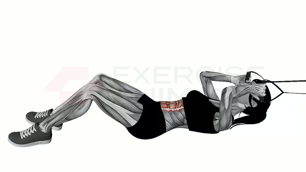 3D animation of a female performing Lying Abs Resistance Band with muscle highlights
