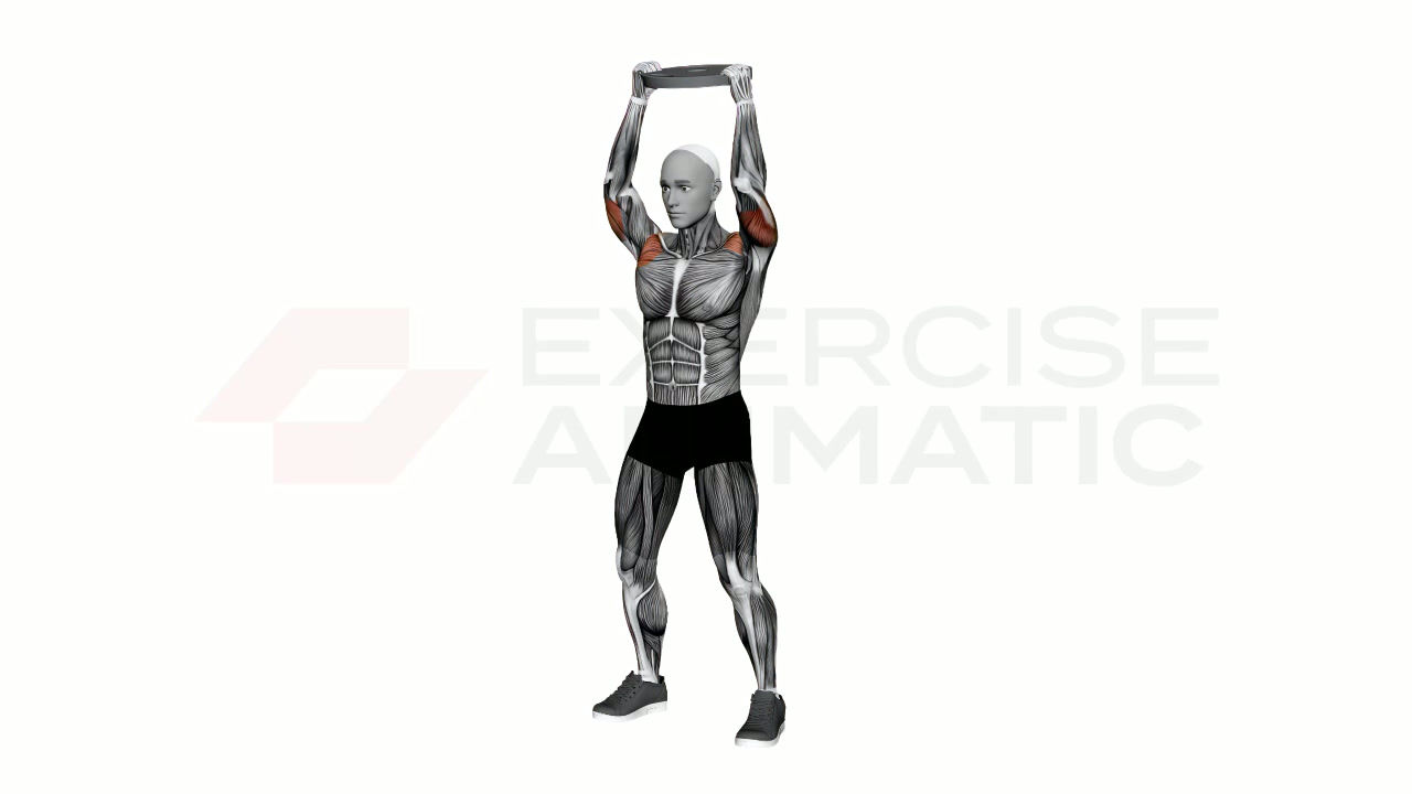 Plate Overhead Tricep Extension