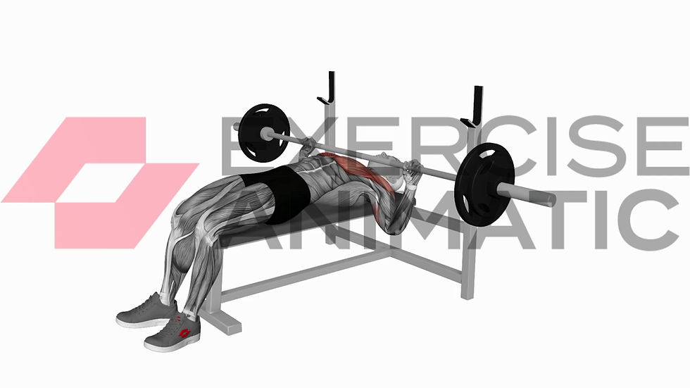 3D animation of a male performing Barbell bench press with muscle highlights