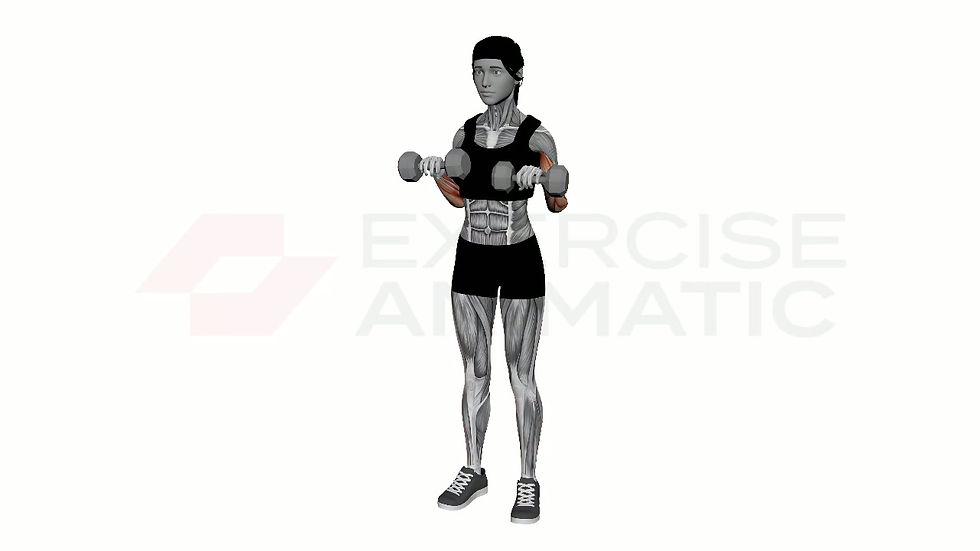 3D animation of a female performing Zotman Curl Dumbbell Simultaneous with muscle highlights