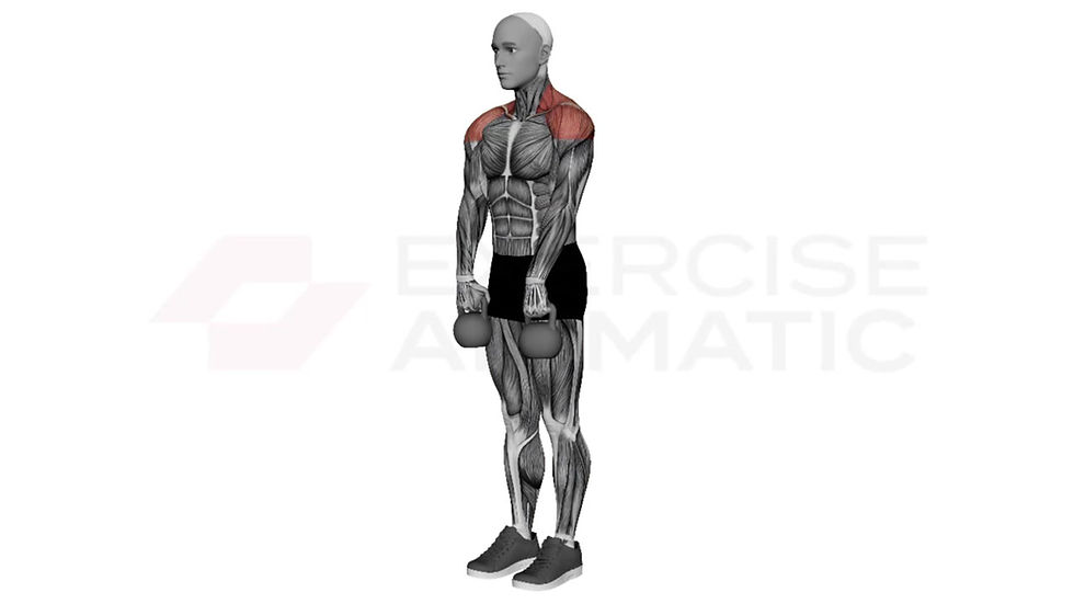 3D animation of a male performing Kettlebell Upright Row with muscle highlights