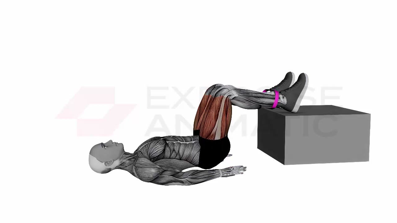 3D animation of a male performing banded feet elevated hip thrusters with muscle highlights
