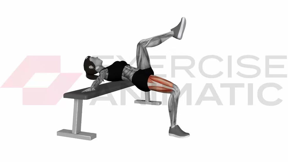 3D animation of a female performing Single Leg Hip Thrust Female with muscle highlights