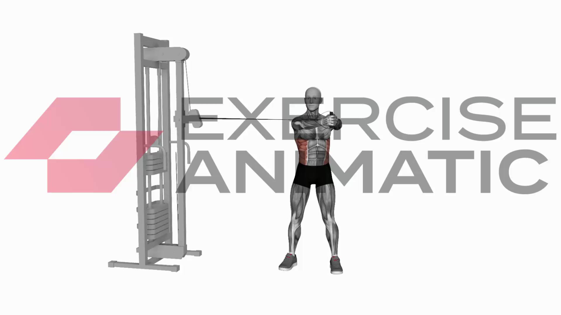 3D animation of a male performing Cable Twist with muscle highlights