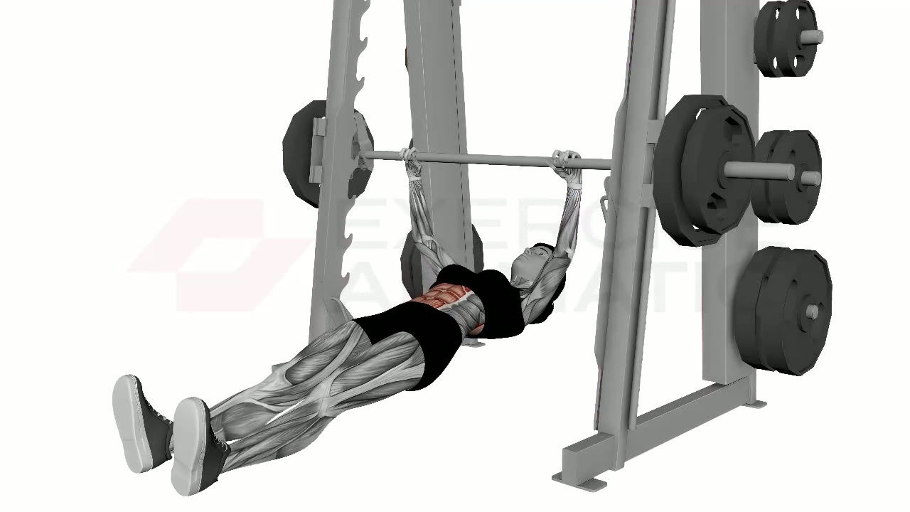 3D animation of a female performing Inverted Rows on Smith Machine with muscle highlights