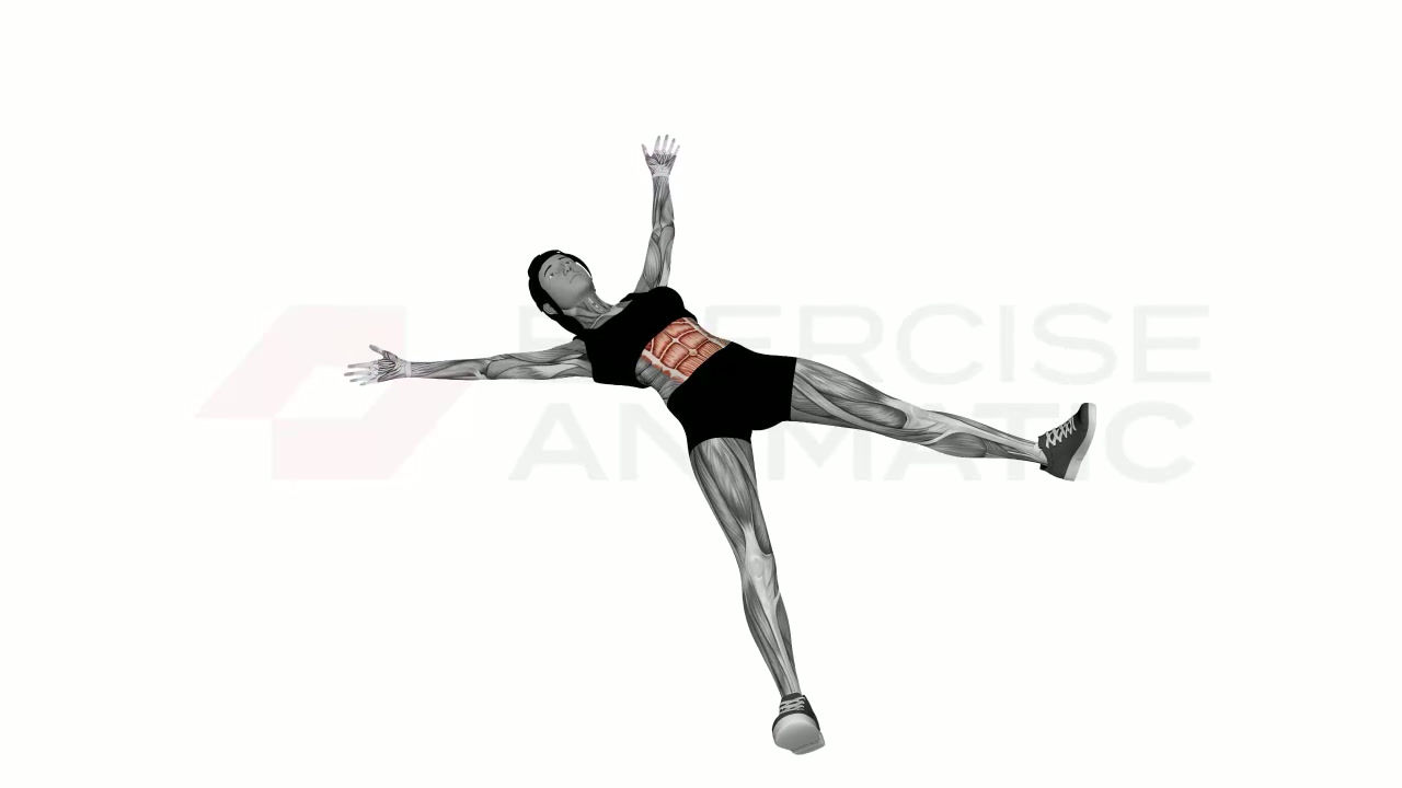 3D animation of a female performing Star Crunches with muscle highlights