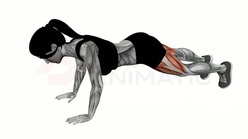 3D animation of a female performing Half Burpees with muscle highlights