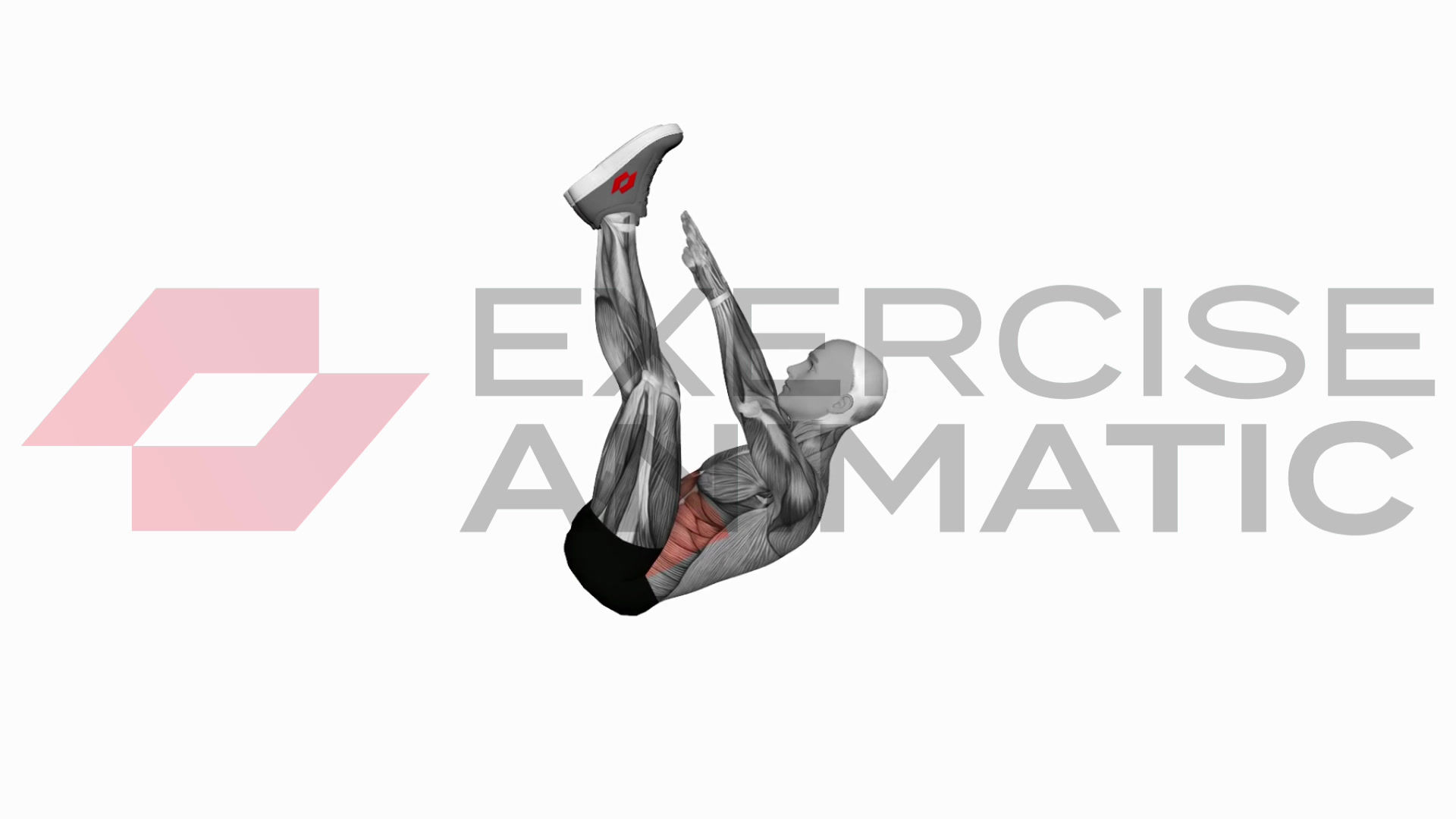 3D animation of a male performing Crunch (straight leg up) with muscle highlights