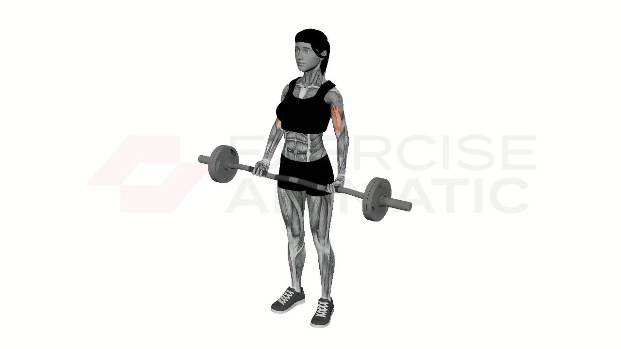3D animation of a female performing Ez Bar Biceps Curl Normal Grip with muscle highlights