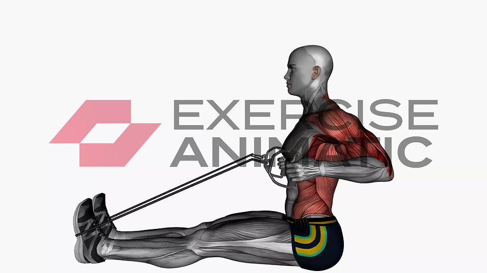 3D animation of a male performing Seated Resistance Band - Cable Rows with muscle highlights