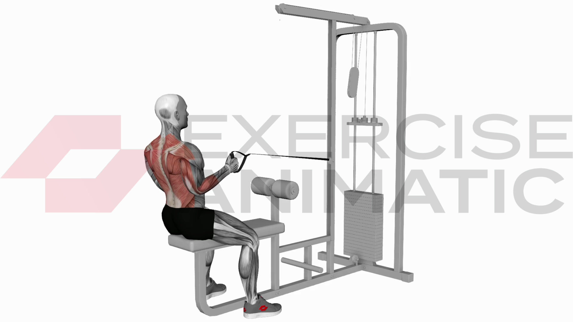 3D animation of a male performing Cable Seated One Arm Alternate Row with muscle highlights