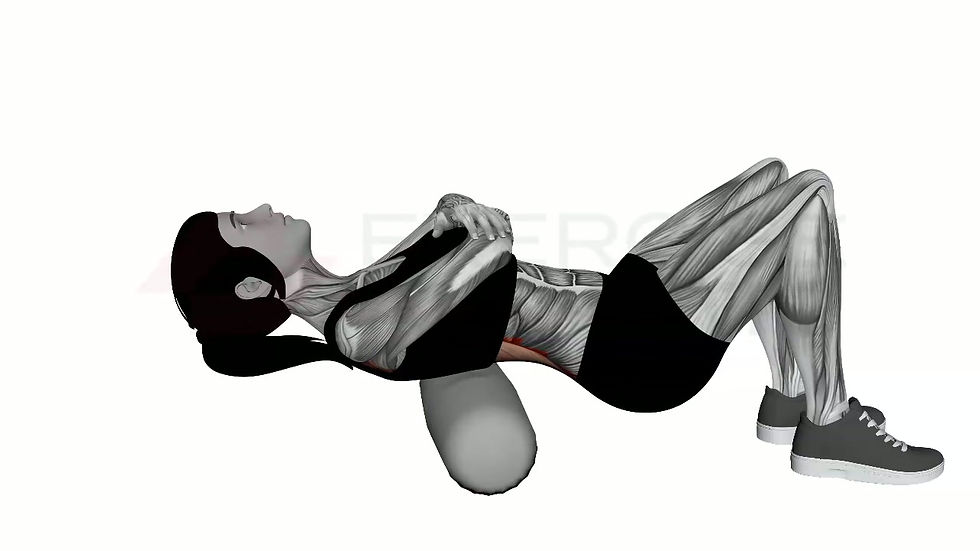 3D animation of a female performing Foam Roller Back with muscle highlights