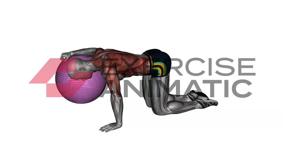 3D animation of a male performing Chest stretch with exercise ball with muscle highlights