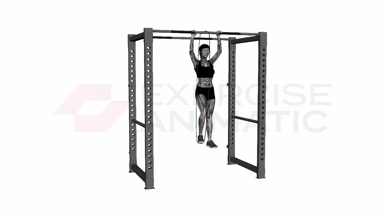3D animation of a female performing band pull up with muscle highlights