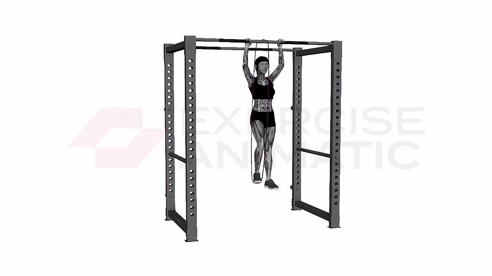 3D animation of a female performing band pull up with muscle highlights