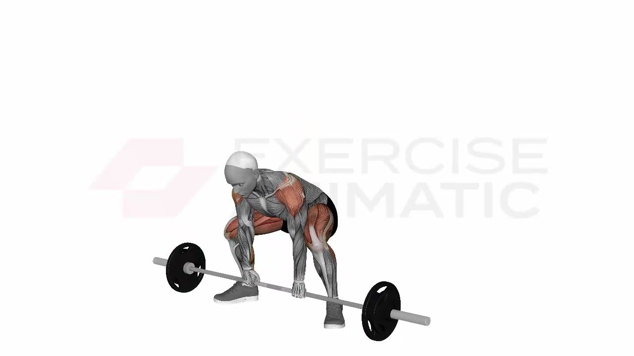 3D animation of a male performing barbell deadlift high pull with muscle highlights