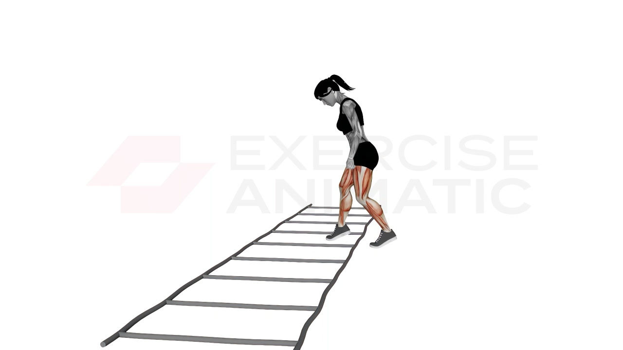 3D animation of a female performing Agility Ladder Advancing Laterally Switching Base with muscle highlights