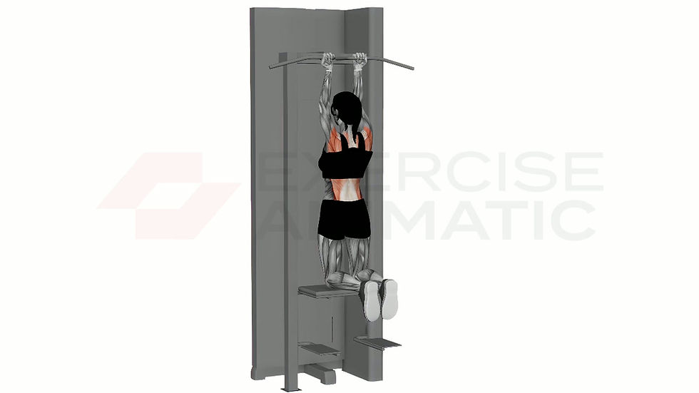 3D animation of a female performing Assisted Chin Up Reverse Close Grip with muscle highlights