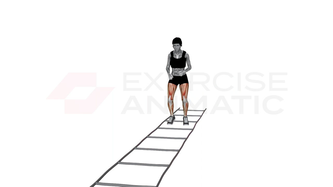 3D animation of a female performing Agility Ladder Lateral Movement with Double Hop with muscle highlights