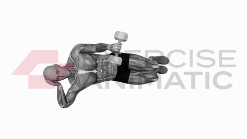 Dumbbell Lying Pronation Rotation on Floor | Exercise Animatic