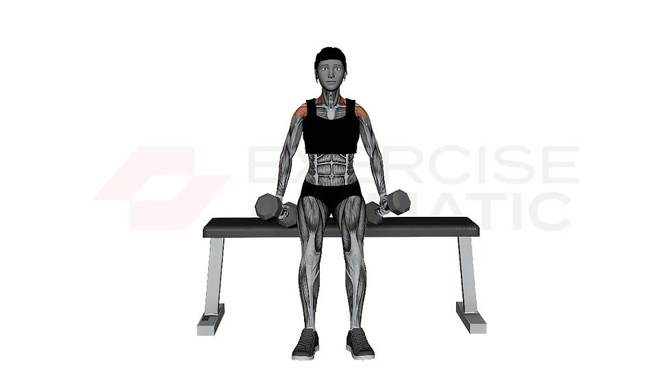 3D animation of a female performing Seated Dumbbell Neutral Grip Front Raises with muscle highlights