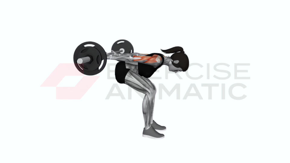 3D animation of a female performing Barbell Bent Over Reverse Raise Skier with muscle highlights