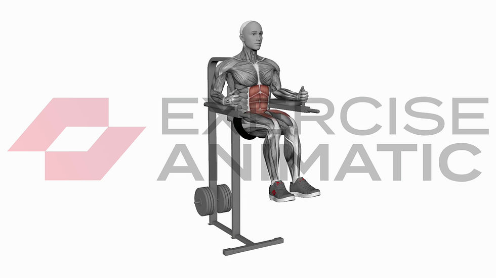 3D animation of a male performing Captains chair leg raise with muscle highlights