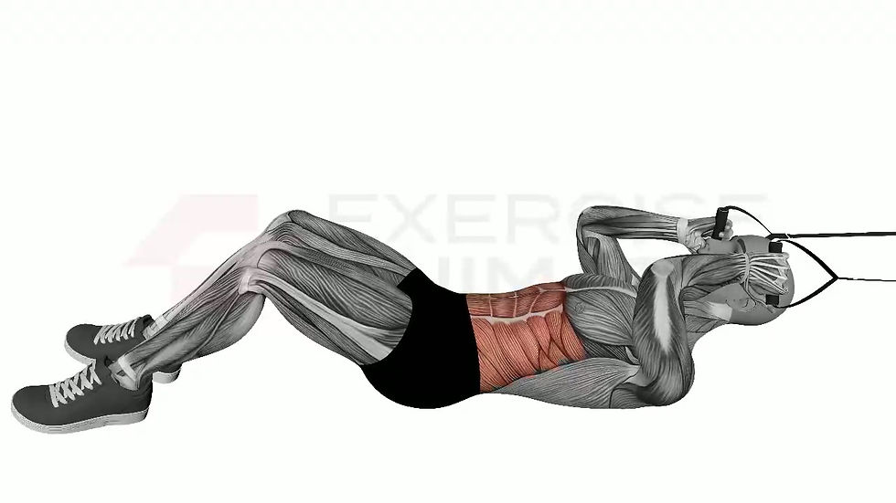 3D animation of a male performing Lying Abs Resistance Band with muscle highlights